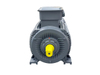IE5 132KW Synchronous Reluctance Motor System