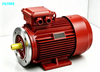 Synchronous Reluctance Motor System