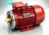 Synchronous Reluctance Motor System