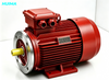Synchronous Reluctance Motor System